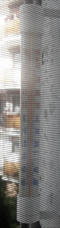 20210511_163518.jpg