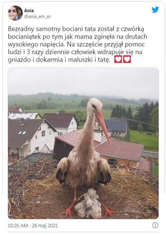 Bo.jpg