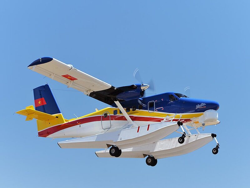 Dh1.jpg