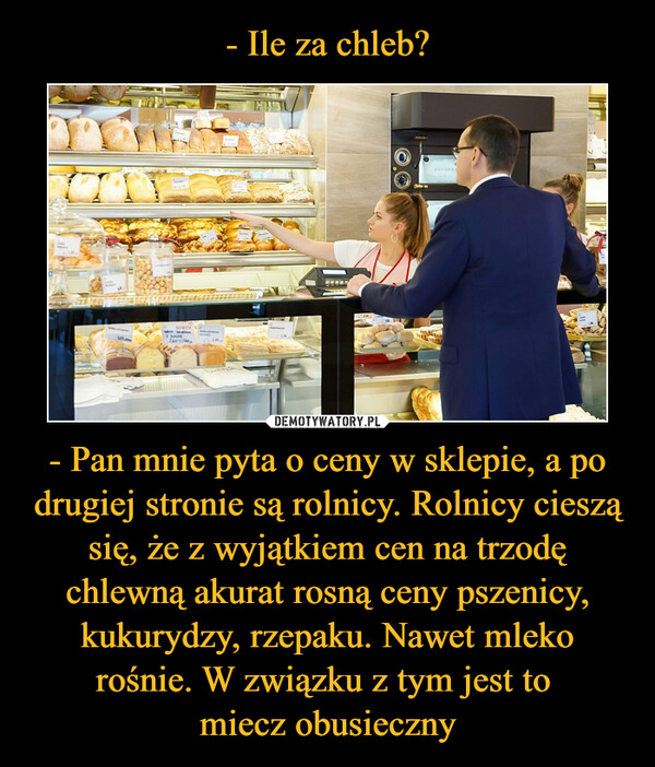 1631354322_tp8cid_600.jpg