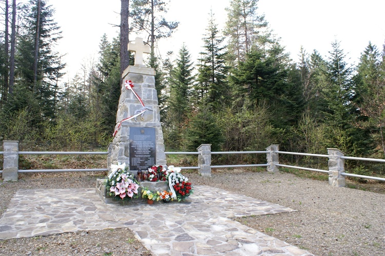 290535.jpg