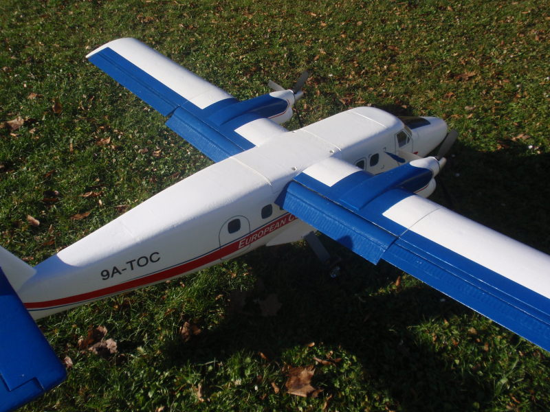 P1010461_1.JPG
