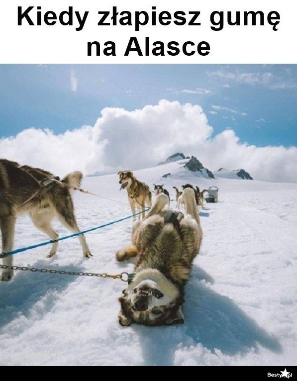 alaska.jpg