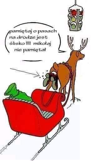 pasy.jpg