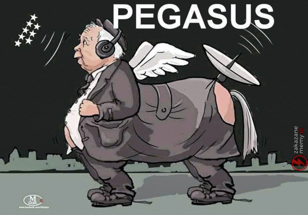 Polski PEGASUS.jpg
