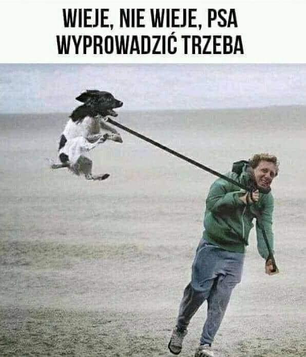 wiatr.jpg