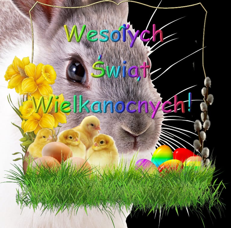 IMG-20220415-WA0023.jpg