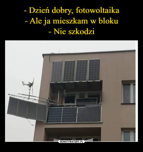 foto.jpg