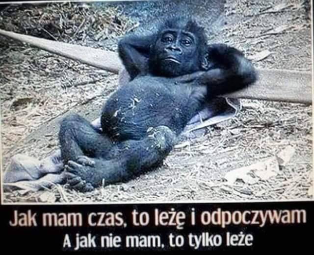 Ja.jpg