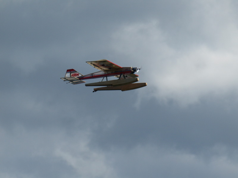 P4182308.jpg