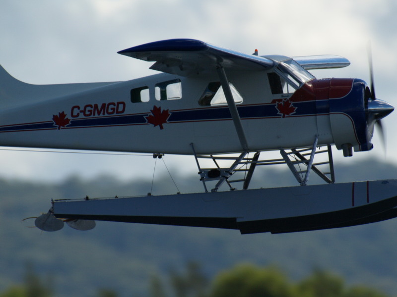 P4182444.jpg
