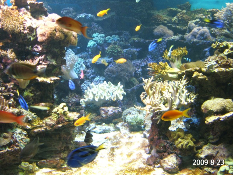 2009_0823_151355.JPG
