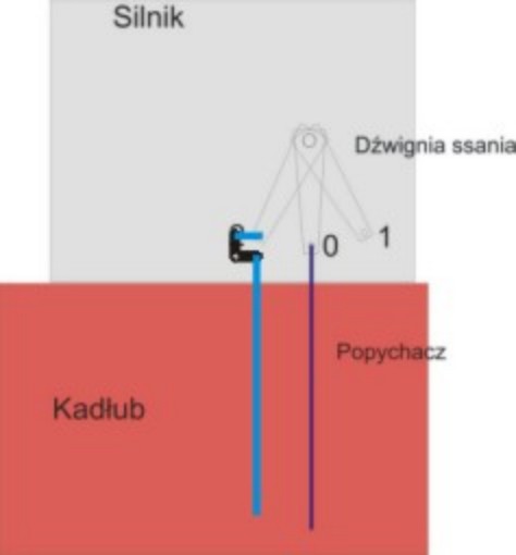 ssanie.jpg
