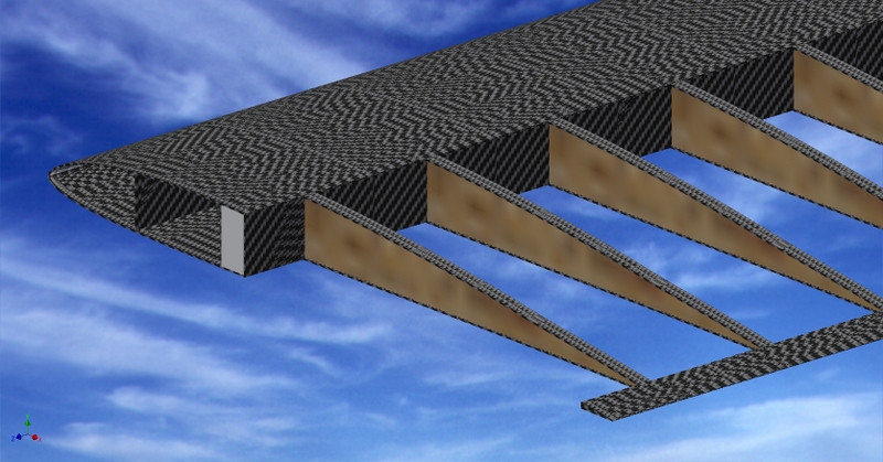 wing ass carbon.jpg