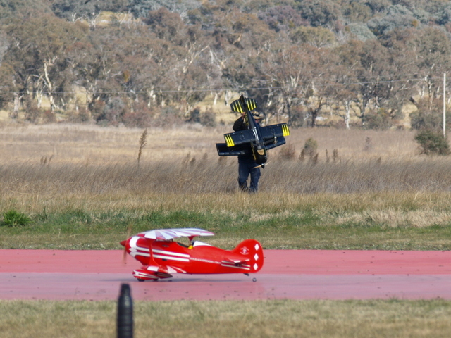P1014085-001.JPG