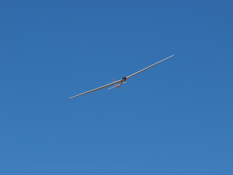 P1014120.JPG