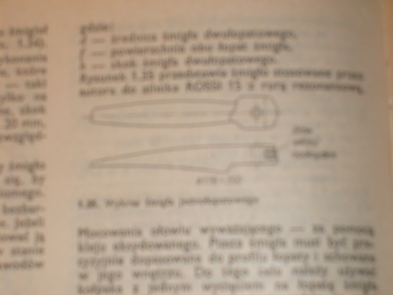 S7300002.JPG
