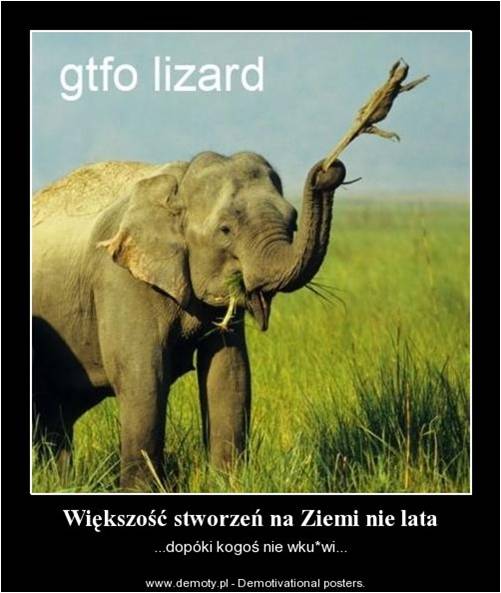 Obraz4.jpg