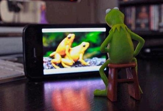 kermit.jpg