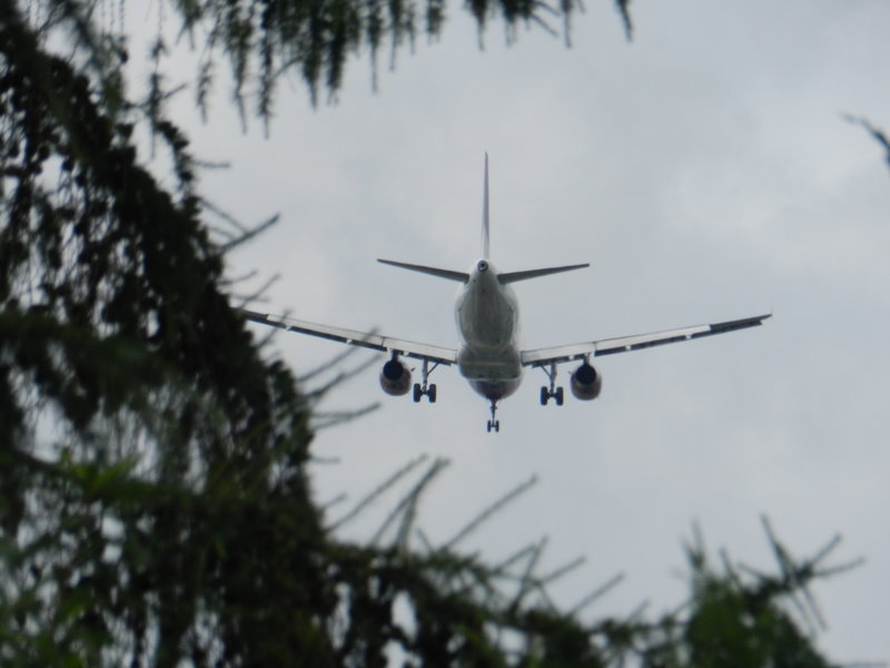 DSCN0638.JPG