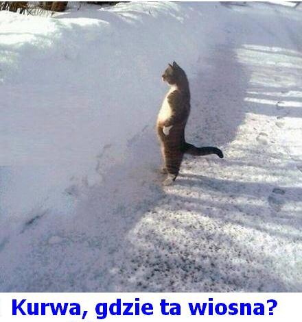 GdzieWiosna.JPG