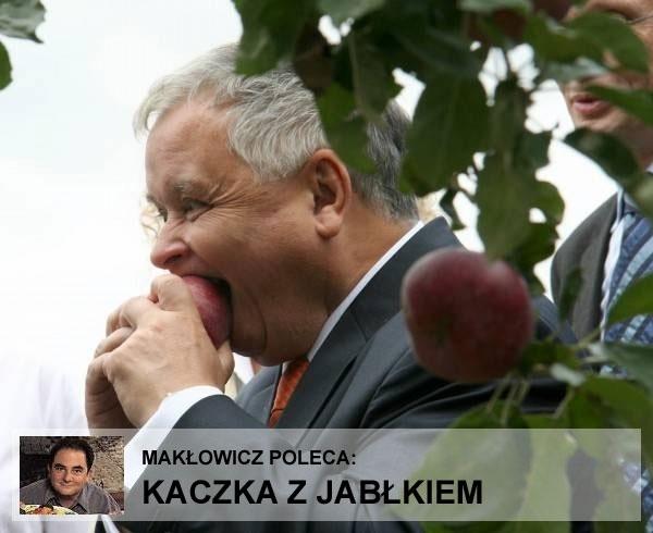 Kaczka_z_jabłkiem.jpg
