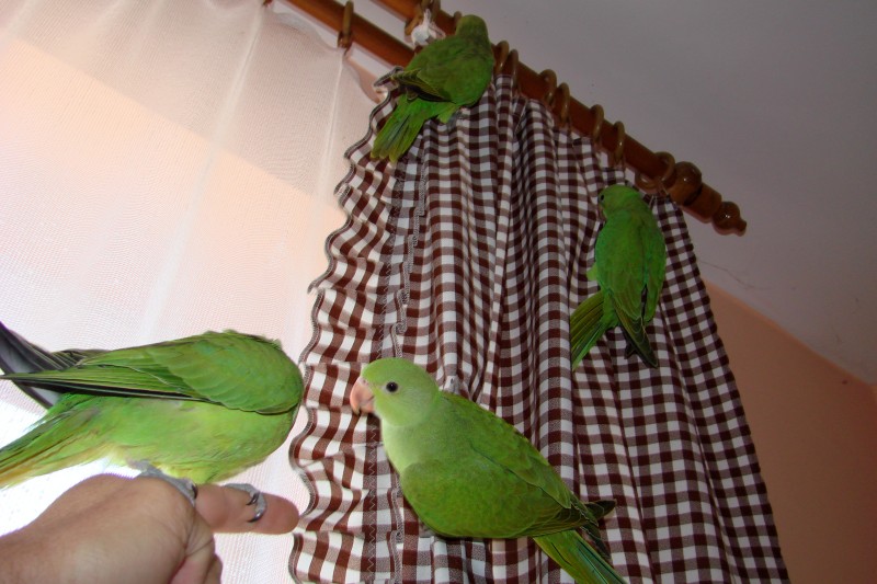 18.jpg